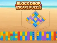 image Block Drop Escape Puzzle